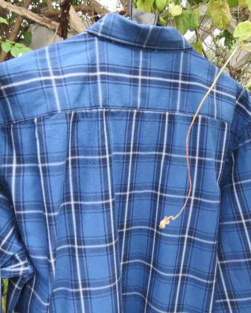 Men`s pure cotton blue/white check long sleeve shirt. Suitable for work or play.By WOOLWORTHS size L