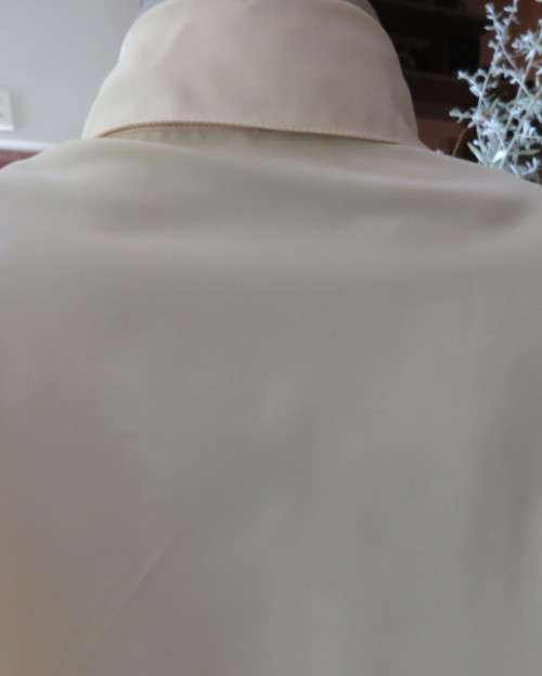 High quality silky poly rich vanilla colour long sleeve blouse top size 46.Stunning collar.New cond.