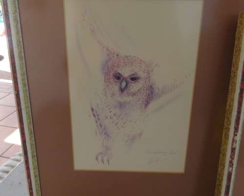 Set of 2 stunning pencil drawings from 1992. Lappet faced Vulture and Pel`s Fishing Owl. As new.