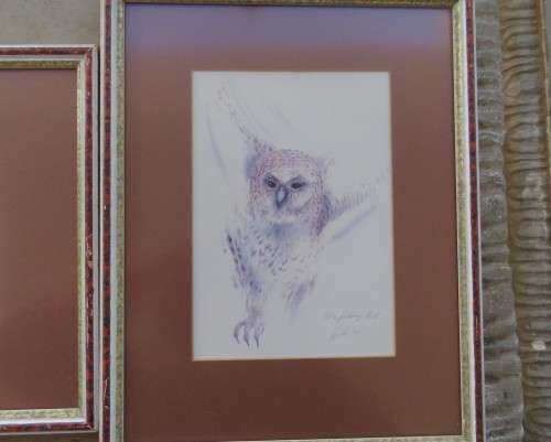 Set of 2 stunning pencil drawings from 1992. Lappet faced Vulture and Pel`s Fishing Owl. As new.