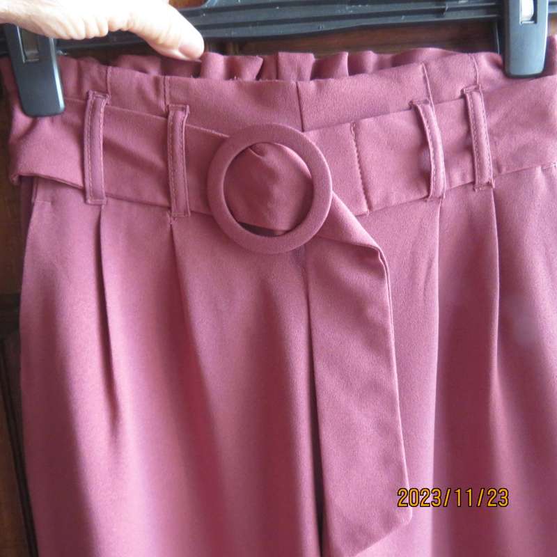 Stunning rouge pink wide legged pants with pleated front/elastic back. Front belt. Size 30/6.As new