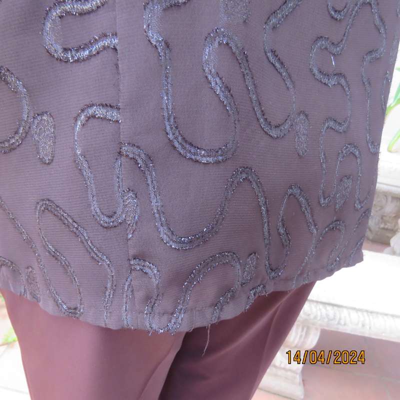 Glamour short sleeve brown sheer top with silver/brown twirl decorations. Size 42 by SECRET NZ
