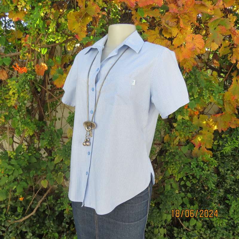 checked short sleeve top in blue/white