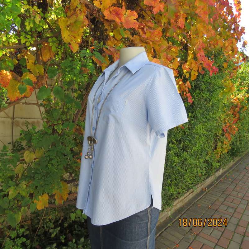 checked short sleeve top in blue/white