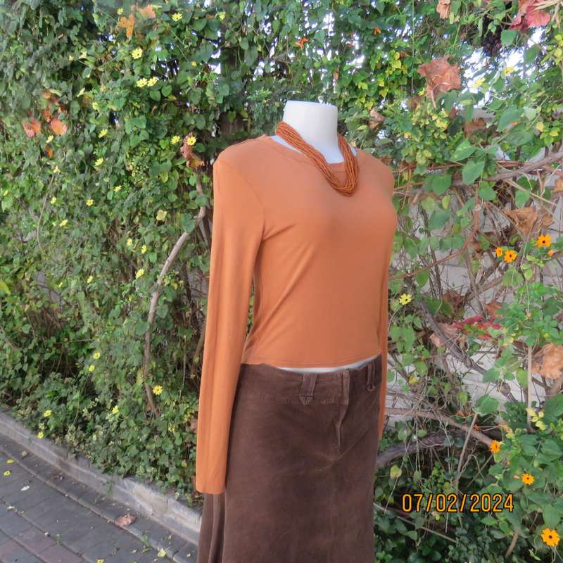 Cropped long sleeve beautiful rust colour viscose stretch top. Scooped neckline.Size 34 to 36.As new