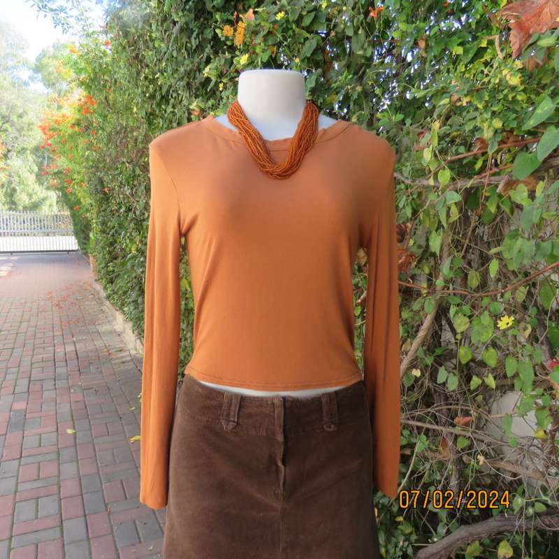 Cropped long sleeve beautiful rust colour viscose stretch top. Scooped neckline.Size 34 to 36.As new