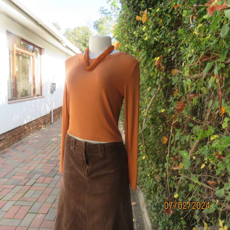Cropped long sleeve beautiful rust colour viscose stretch top. Scooped neckline.Size 34 to 36.As new