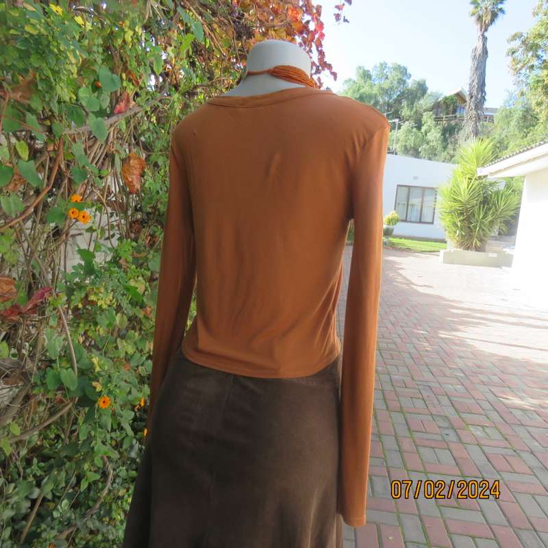 Cropped long sleeve beautiful rust colour viscose stretch top. Scooped neckline.Size 34 to 36.As new