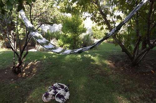 Hammock in red/white,green/white and purple/white.Made in natural fibre.363 cm long . New