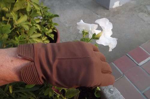 Pair of stunning nut brown short nylon gloves by Chic in size 7.As new