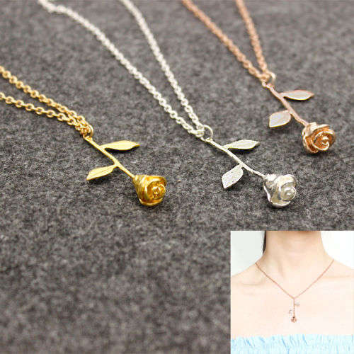 Beauty and the beast rose..-  LOW  SHIPPING SPECIAL**