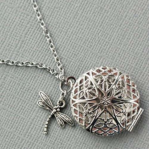 Dragonfly locket.. low  shipping special...