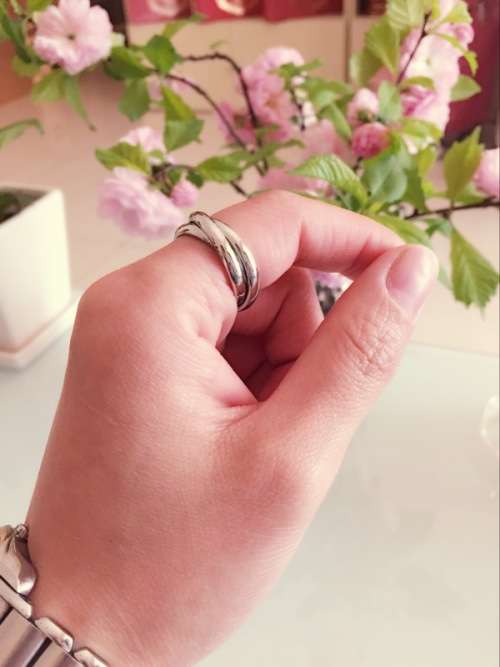 Titanium and stainless steel entwined ring