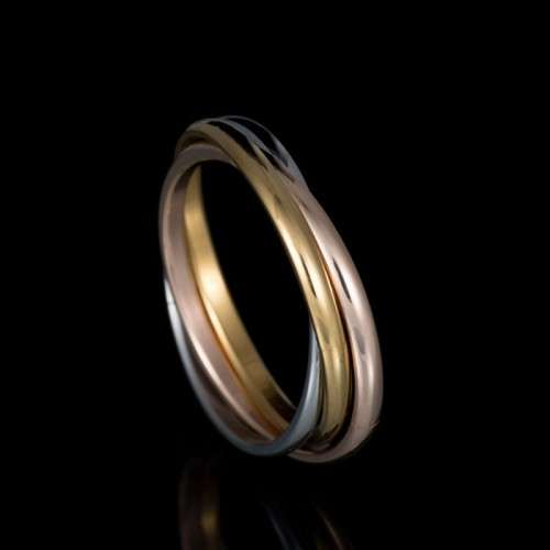 Titanium and stainless steel entwined ring