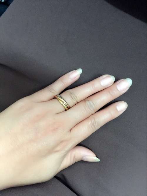 Titanium and stainless steel entwined ring