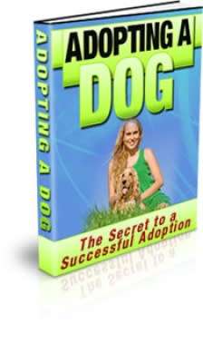adopting a dog
