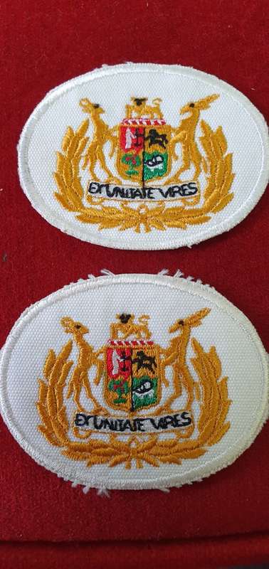 WARRANT OFFICER RANK EMBROIDERED RANKS