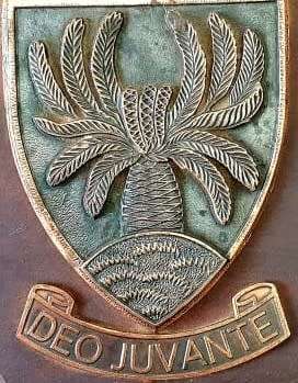 SADF . 4 SAI BATTALION .  EMBLEM PLAQUE . COPPER ON WOOD.