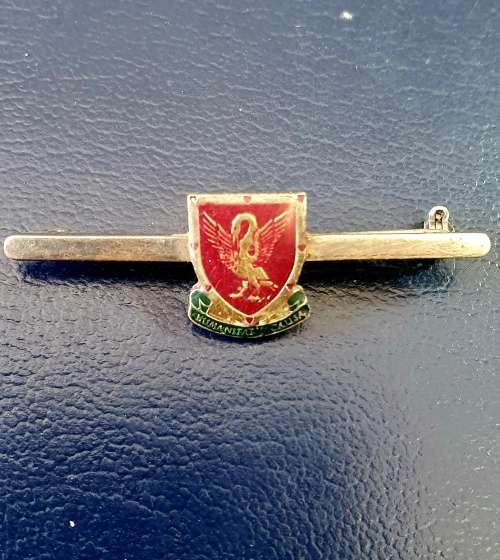ANTIQUE SOUTH AFRICA BLOOD DONOR LAPEL BAR BADGE HUMANITATIS CAUSA. SILVER & ENAMEL
