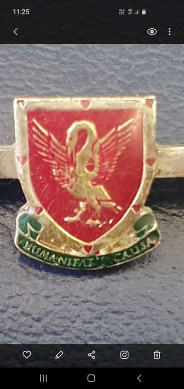 ANTIQUE SOUTH AFRICA BLOOD DONOR LAPEL BAR BADGE HUMANITATIS CAUSA. SILVER & ENAMEL