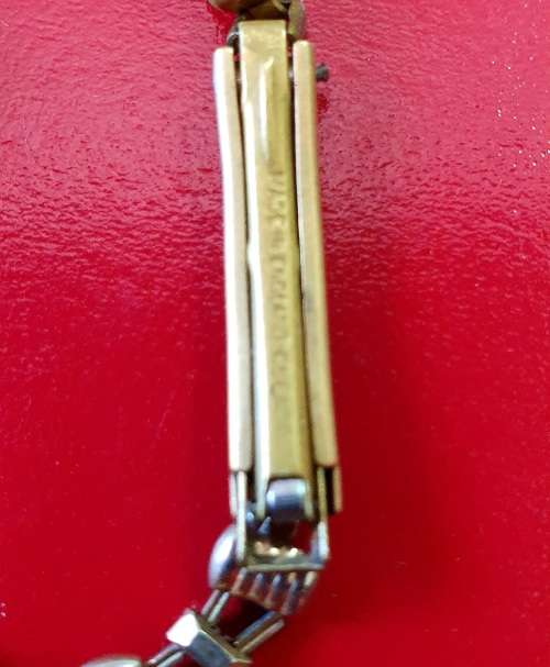 VINTAGE DELFIN 17 JEWELS WATCH