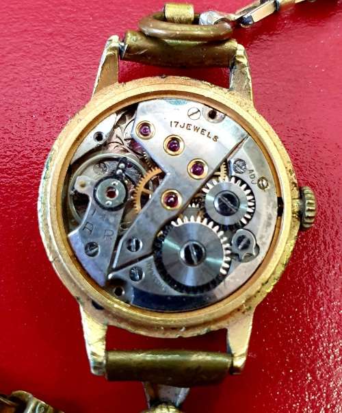 VINTAGE DELFIN 17 JEWELS WATCH