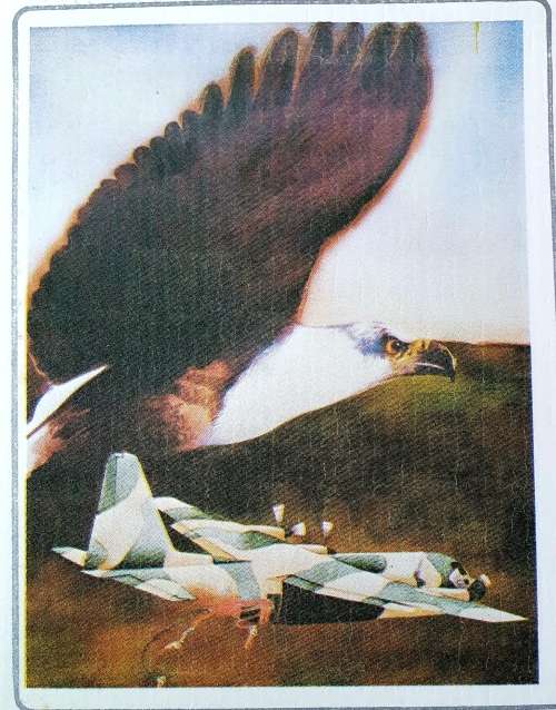 1 VALSKERMBATALJON. LIMITED SILVER EDITION (B). 1989. WITH ORIGINAL COMMANDING OFFICERS SIGNATURES.