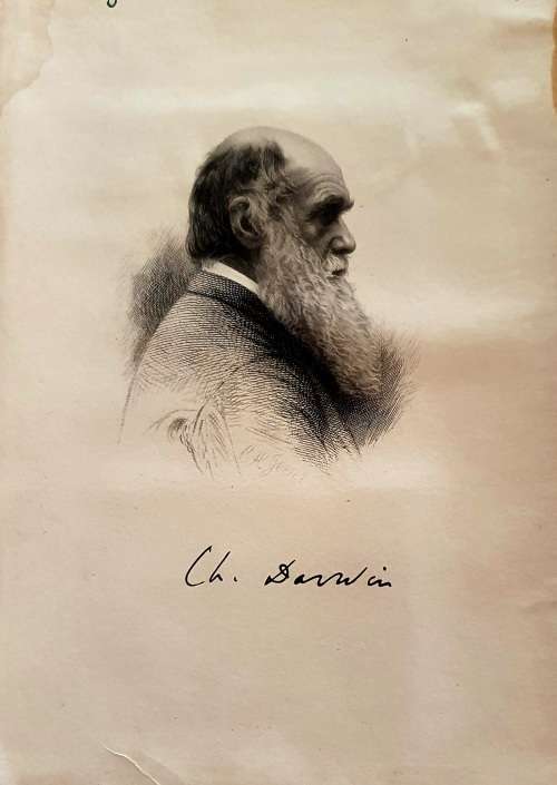 CHARLES DARWIN 1890 NEW EDITION  WITH PORTRAIT .A NATURALIST`S VOYAGE.