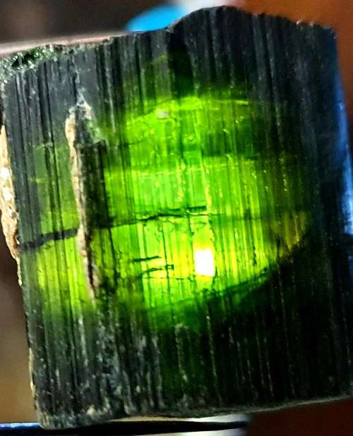 TOURMALINE GREEN RAW CRYSTAL. 6.8 GRAMS.  22 MM LONG X  46 MM CIRC.