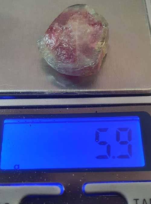 TOURMALINE BI COLOR- WATER MELON RAW CRYSTAL. 5.90 GRAMS. 6 MM LONG X 7 MM CIRC.