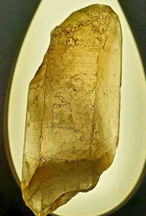 HUGE SMOKEY QUARTZ RAW CRYSTAL. 71 GRAMS.  70 MM LONG X  95 MM CIRC.