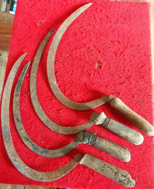 4 X ANTIQUE SICKELS . ORIGINAL HANDLES !!