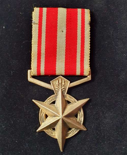 1983 KOEVOET BEKAMPING VAN TERRORISME FULL SIZE MEDAL. NUMBERED AND NAMED.