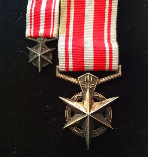 KOEVOET BEKAMPING VAN TERRORISME FULL SIZE MEDAL PLUS MINATURE MEDAL. NOT NAMED OR NUMBERED