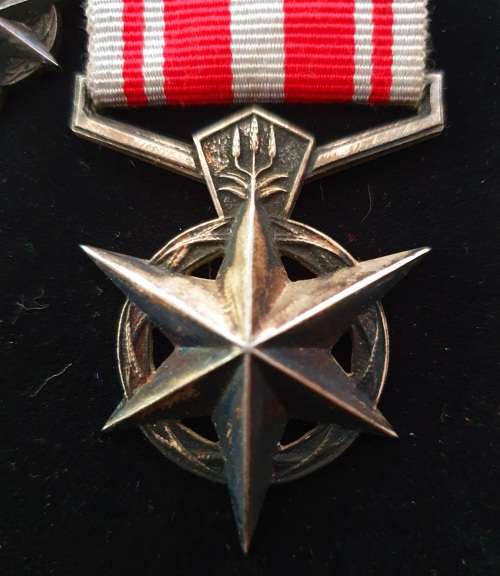 KOEVOET BEKAMPING VAN TERRORISME FULL SIZE MEDAL PLUS MINATURE MEDAL. NOT NAMED OR NUMBERED