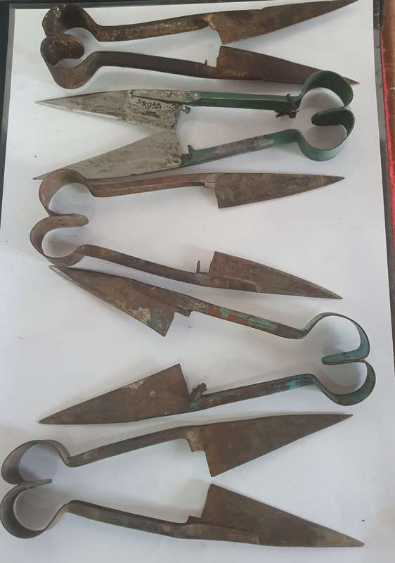 5 X VINTAGE SHEAP SHEARS, DRUMMBER BOY AND ROSA. IDEAL FOR KNIFE MAKING. ONE BID FOR ALL.