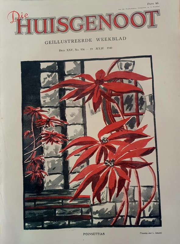 19 JULIE 1940 .  DIE HUISGENOOT. POINSETTIAS. BIG FORMAT .28CM WIDE X 38CM LENGHT.