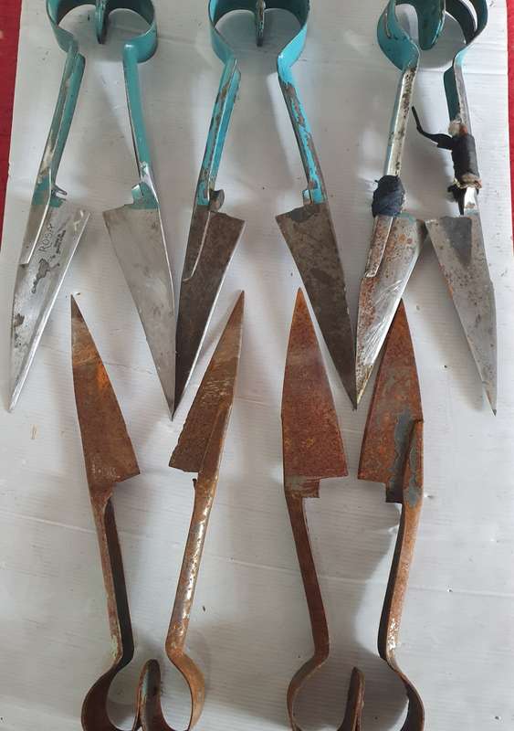 5 X VINTAGE SHEEP SHEARS . IDEAL FOR KNIFE MAKING. BID PER SHEAR.