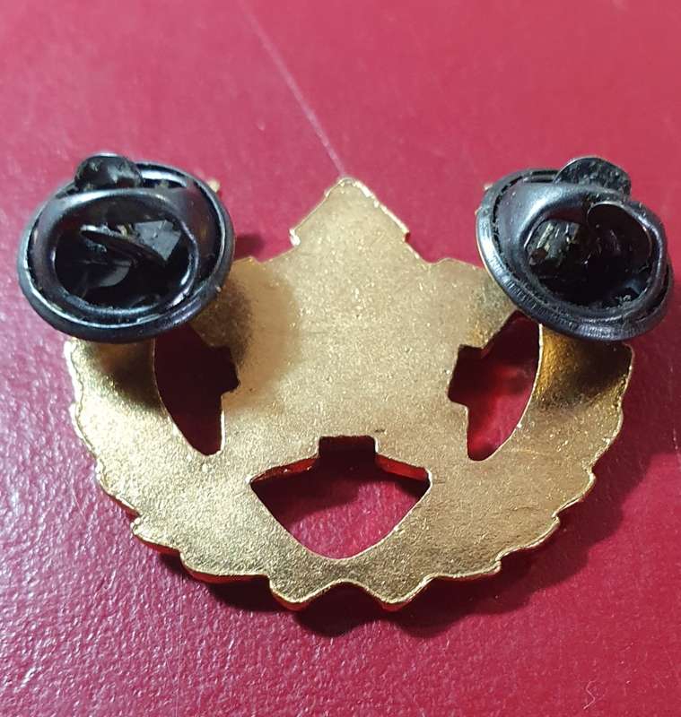 SA ARMY 5 YEARS VOLUNTARY SERVICE BADGE.