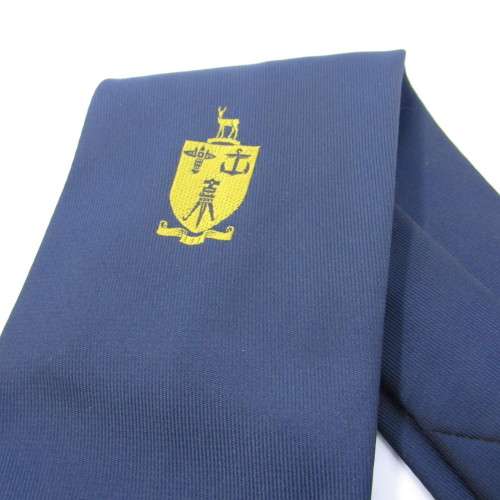 Institute of Topographical and Engineering of South Africa Tie - 147cm