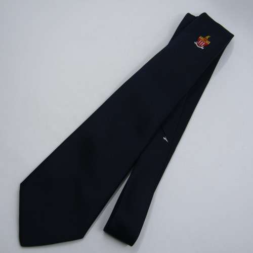 South African Association of municipal Employees tie - 147cm