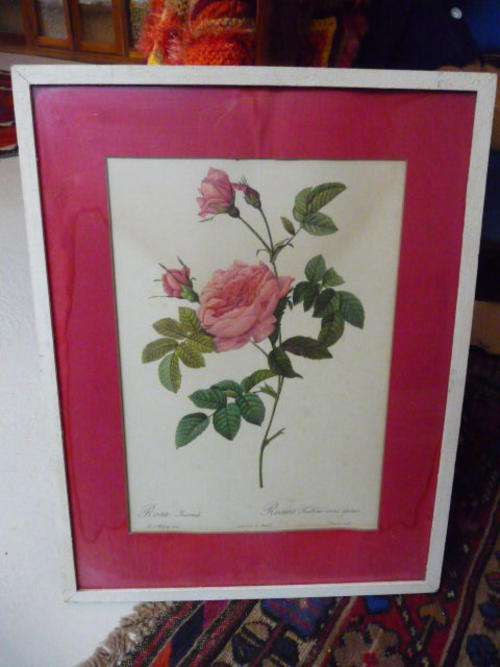 Rose Print in frame as per photo