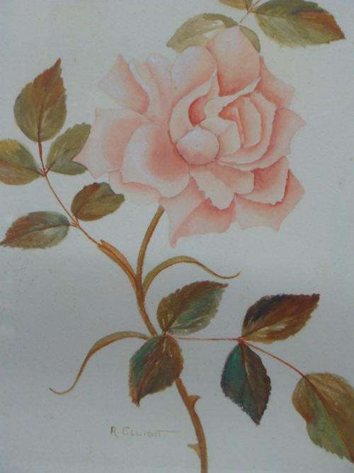 Water color painting - Rose by R Elliott - 38 cm by 47 cm - slightly damaged