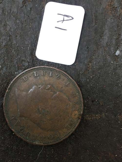 1884 X Reis