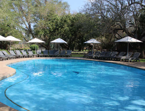 SCHOOL HOLIDAY MID WEEK @ Ngwenya 9 Jan - 13 Jan 2023 2 Bedroom 6 sleeper