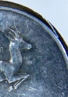 RARE TAG EAR R1 Coins.