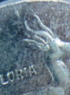 RARE TAG EAR R1 Coins.