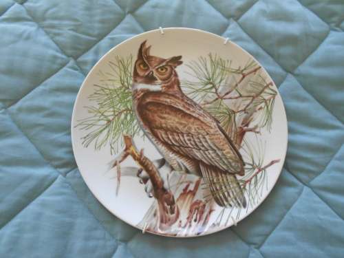 Striking, Large Decorative Wall Plate (Imperial Imari-style) Owl on Branch : 26cm