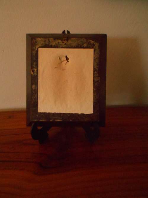 Antique, Italiain, Signed Miniature Painting of Lady on Celluloid, Burr Walnut Frame : Gd Con