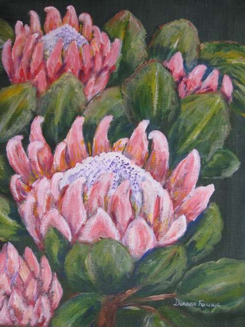 An original A4 acrylic painting by Doreen Fourie